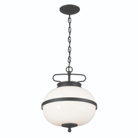 Multi Light Pendant 12-1/4" Width Multi Light Pendant 12-1/4" Width