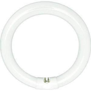 KK4055 Circline Compact Fluorescent Light Bulb - Frosted