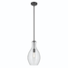 Kichler KK42047BKCS Black Entrance / Foyer Pendant