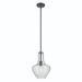 Kichler KK42141BKCS Black Down Light Pendant