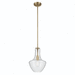 Kichler KK42141NBRCS Natural Brass Down Light Pendant