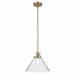 Kichler KK43905NBR Natural Brass Down Light Pendant