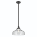 Kichler KK43906BK Black Down Light Pendant