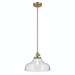 Kichler KK43906NBR Natural Brass Down Light Pendant