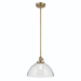 Kichler KK43912NBR Natural Brass Down Light Pendant