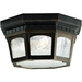 Kichler KK9538RZ Rubbed Bronze Outdoor Ceiling Mounted Light