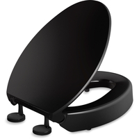 Toilet Seat Elongated bowl