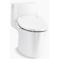 One Piece Toilet Elongated bowl