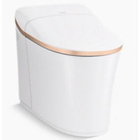 One Piece Toilet Elongated bowl