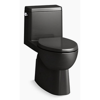  Reach One Piece Toilet - Black