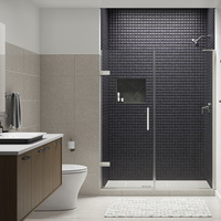  Composed Shower Door - Fixed Shower Door - Anodized Brushed Nickel