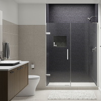  Composed Shower Door - Fixed Shower Door - Bright Polished Silver