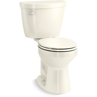 Two Piece Toilet