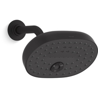  Statement Shower Head Shower Accessory - Matte Black