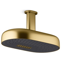  Statement Shower Head Shower Accessory - Vibrant Brushed Moderne Brass