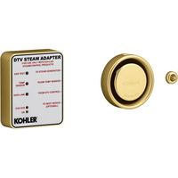  DTV Steam Accessory Steam Bath - Vibrant Brushed Moderne Brass