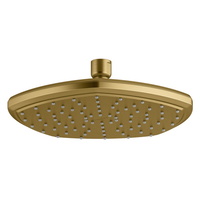  Occasion Shower Head Shower Accessory - Vibrant Brushed Moderne Brass