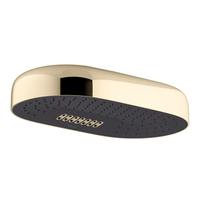  Statement Shower Head Shower Accessory - Vibrant French Gold
