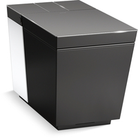 One Piece Toilet Elongated bowl