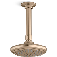  Occasion Shower Head Shower Accessory - Vibrant Brushed Bronze