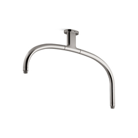  Statement Shower Arm Shower Accessory - Titanium