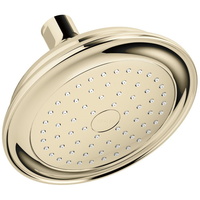  Artifacts Shower Head Shower Accessory - Vibrant French Gold