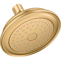  Artifacts Shower Head Shower Accessory - Vibrant Brushed Moderne Brass