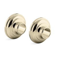  Artifacts Accessory Shower Accessory - Vibrant French Gold