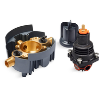 Custom Shower Thermostatic Valve