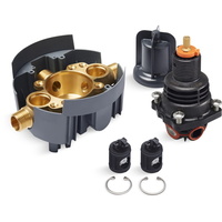 Custom Shower Thermostatic Valve