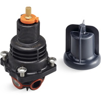 Custom Shower Thermostatic Valve