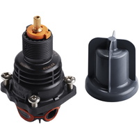 Custom Shower Thermostatic Valve