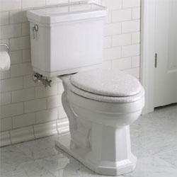 K3484-95 Kathryn Two Piece Toilet - Ice Grey