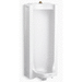 Kohler K25039-T-0 White Urinal