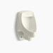 Kohler K5016-ER-96 Biscuit Urinal