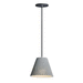 Maxim M10144GYBK Gray / Black Down Light Pendant