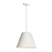 Maxim M10145WT White Down Light Pendant