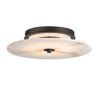 Flush Mount Ceiling Light 15" Width