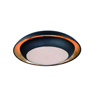  Iris Flush Mount Ceiling Light - Gold Leaf / Black