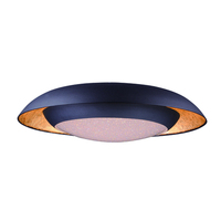  Iris Flush Mount Ceiling Light - Gold Leaf / Black