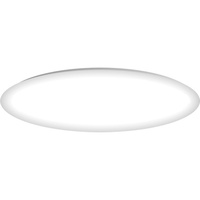 Flush Mount Ceiling Light 14" Width