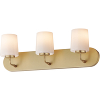 Bathroom Lighting (3 bulbs) 24" Width