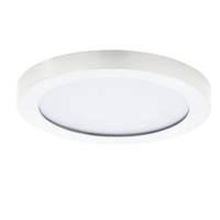  Flush Mount Ceiling Light - White / White