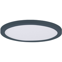  Flush Mount Ceiling Light - White / Black