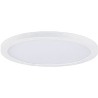  Flush Mount Ceiling Light - White / White