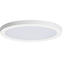  Flush Mount Ceiling Light - White / White