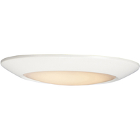 Flush Mount Ceiling Light - White / White