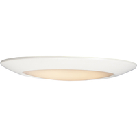  Flush Mount Ceiling Light - White / White