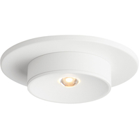  Flush Mount Ceiling Light - White