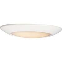  Flush Mount Ceiling Light - White / White